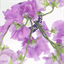 violettefactory.com