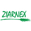 ziarnex.pl