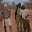 chengetawildlife.wordpress.com