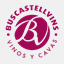 buscastellvins.com