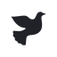 asacredtouch.org