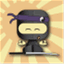 consciousninja.com