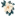 mssocietyofga.org