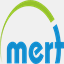 mertmuhendislik.com