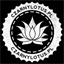czarnylotus.pl
