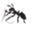 wecreateharmony.com
