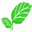 ecobamboo.pl