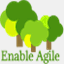 enableagile.com