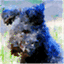 pumi.rocks