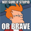stupidandbrave.com