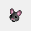 mouseparadigm.net