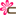 canichic.com