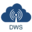 dwsnetworks.com