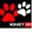 ksvet.com