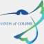 handsofcolibri.com