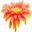 chesapeakeholistic.com