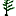 ancientforest.org