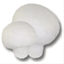 agaricus.cz