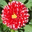 nutka1505.blox.pl