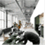 sannamerilainen.wordpress.com