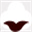 molacoton.com