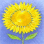 daydesigns.ca