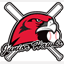 prjrhawks.com