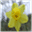 mamasuesplace.typepad.com