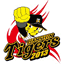 tigers.design-summary.com