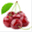 sdxdny.com