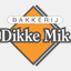 dilnetpc.com