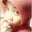 s3v4n.wordpress.com