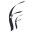 francofrancescovini.com