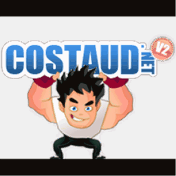 costaud.net