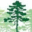 pinebarrenstree.com