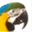 callbird.com