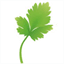evergreenharvesting.co.uk
