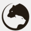 bearpanther.com