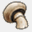psilly.com