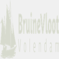 bruinevloot.nl