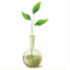 tpoolzen.com