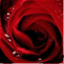 psoedearjona.wordpress.com