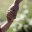 parentingpractically.wordpress.com