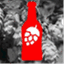 bierflash.wordpress.com