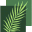 cocomosaic.com