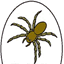 exterminationqc.com