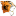tiger77.org