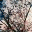 bachlienvan.wordpress.com