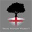 brianwilmott.com
