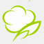 hayacohen.com